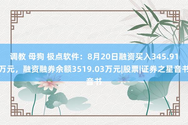 调教 母狗 极点软件：8月20日融资买入345.91万元，融资融券余额3519.03万元|股票|证券之星音书