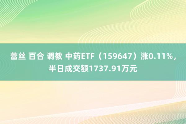 蕾丝 百合 调教 中药ETF（159647）涨0.11%，半日成交额1737.91万元