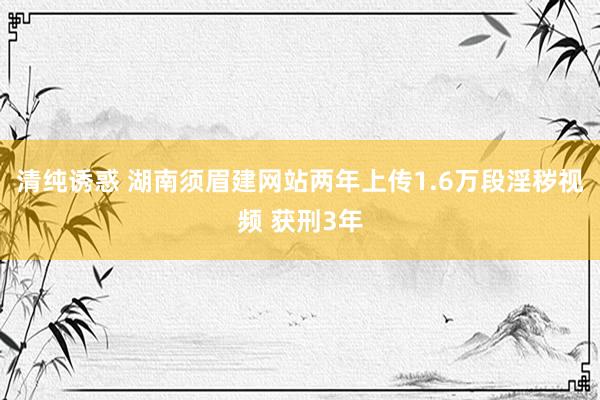 清纯诱惑 湖南须眉建网站两年上传1.6万段淫秽视频 获刑3年