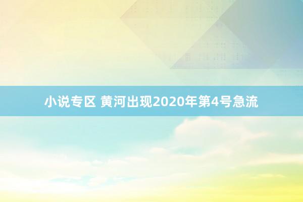 小说专区 黄河出现2020年第4号急流