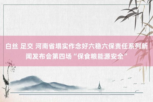 白丝 足交 河南省塌实作念好六稳六保责任系列新闻发布会第四场“保食粮能源安全”