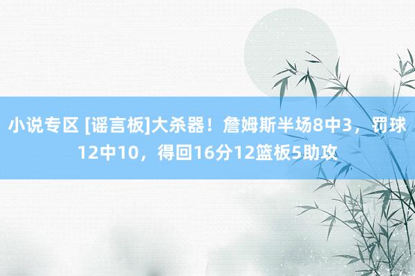 小说专区 [谣言板]大杀器！詹姆斯半场8中3，罚球12中10，得回16分12篮板5助攻