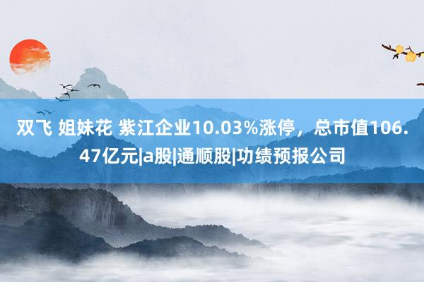 双飞 姐妹花 紫江企业10.03%涨停，总市值106.47亿元|a股|通顺股|功绩预报公司