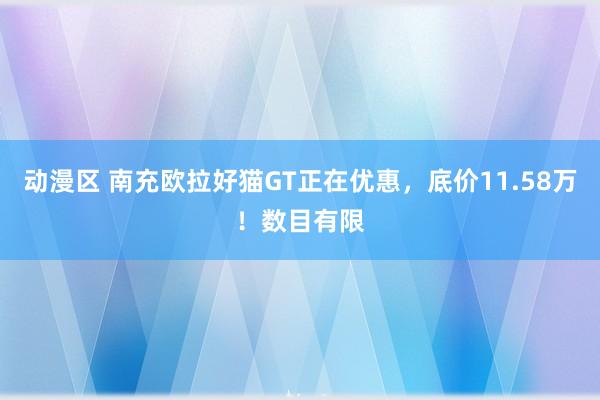 动漫区 南充欧拉好猫GT正在优惠，底价11.58万！数目有限