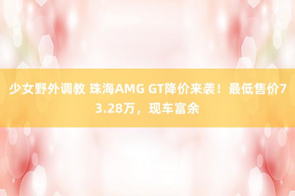 少女野外调教 珠海AMG GT降价来袭！最低售价73.28万，现车富余